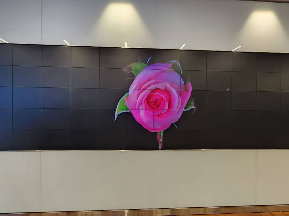 Wide LED video wall showing a rose bloom in a lobby